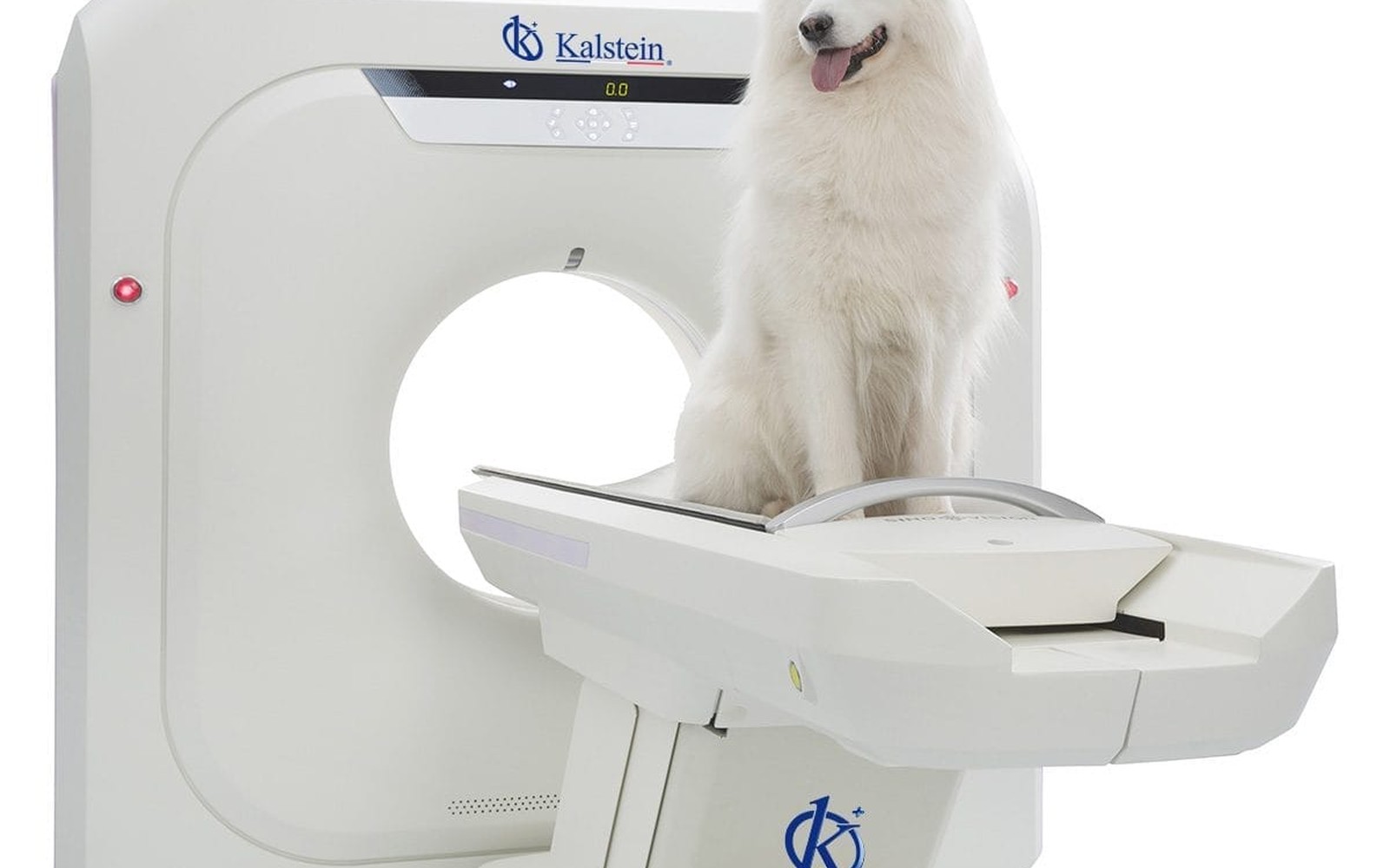 Veterinary CT Scanner Financing